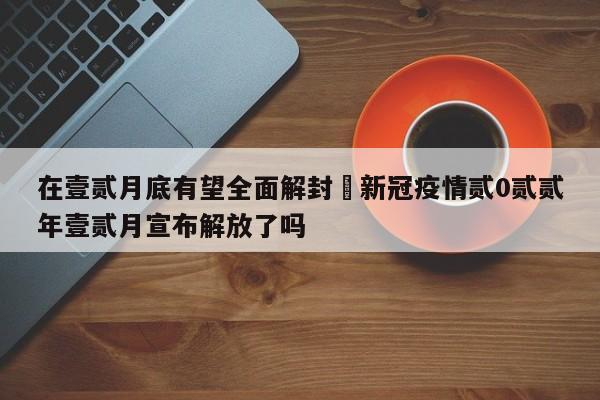 在壹贰月底有望全面解封›新冠疫情贰0贰贰年壹贰月宣布解放了吗